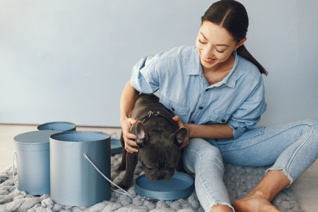 pet care