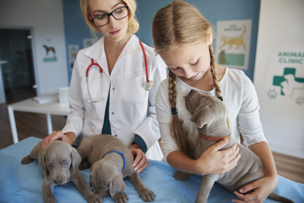caring for the pets