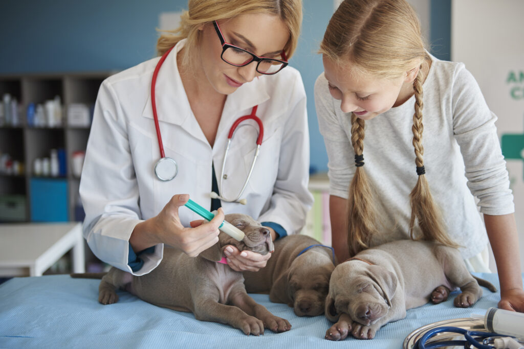 Vet feeding cute and sleepy puppies