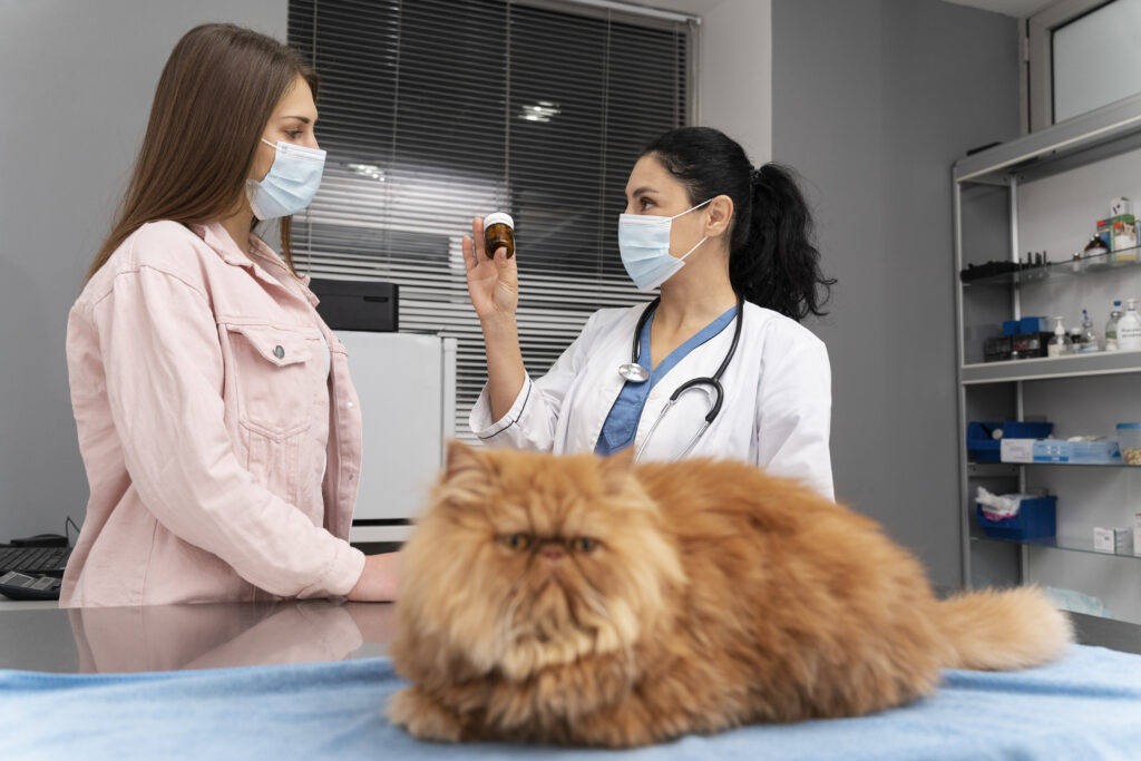 vet taking care
