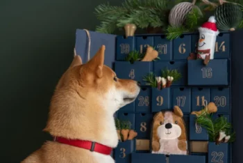 health treat to you pets